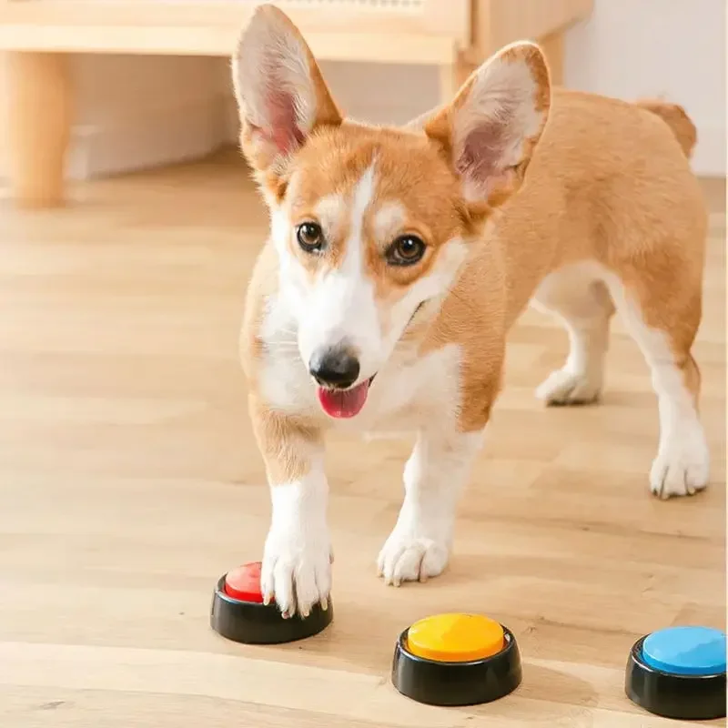 2026 Recordable Talking Pet Bu - Interactive Cat Toy 评论和价格