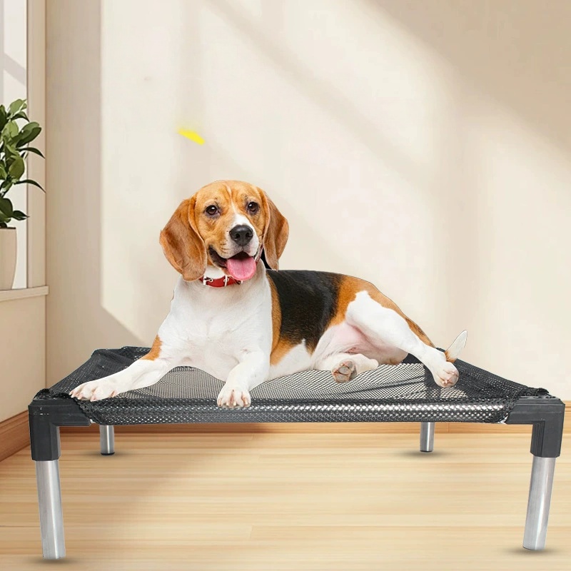 Cooling Elevated Dog Bed - Rai - Calming Dog Bed 评论和价格