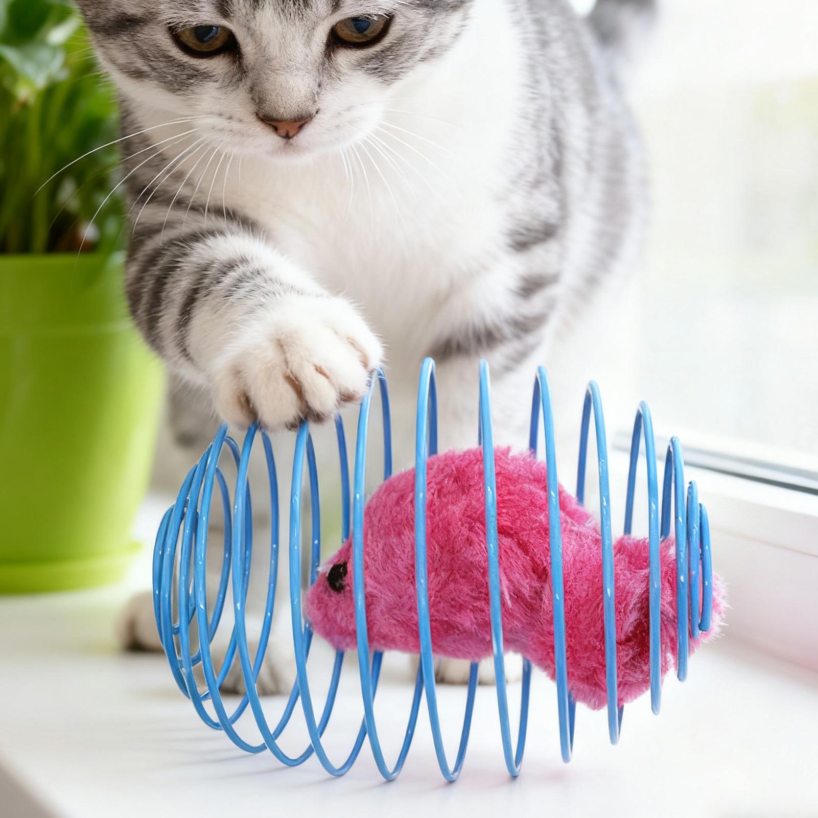 Cat Spiral Toy Interactive Fun - Cat Tunnel Toy 评论和价格