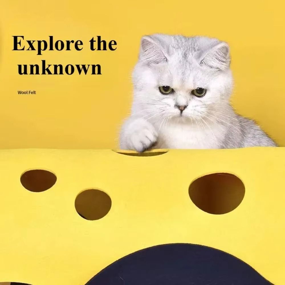 Durable Foldable Cat Tunnels B - Cat Tunnel Toy 评论和价格