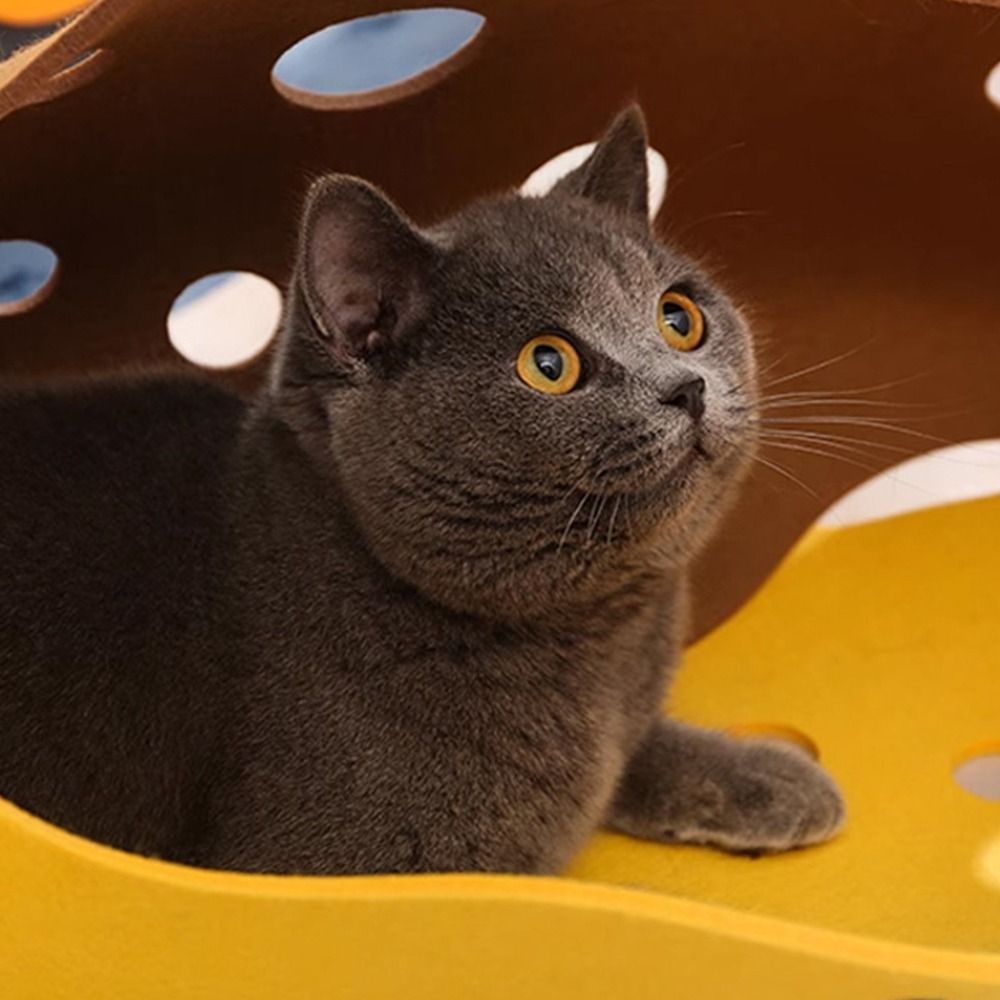 Durable Foldable Cat Tunnels B - Cat Tunnel Toy 评论和价格